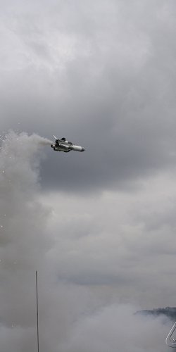 2013 Svojek Mirek Topinka